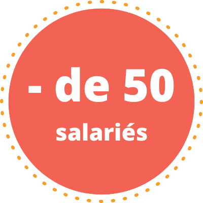 Formation CSE moins de 50 salariés