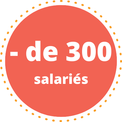 Formation CSE moins de 300 salariés