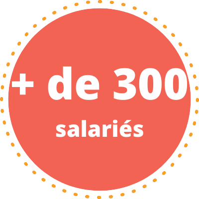 Formation CSE plus de 300 salariés